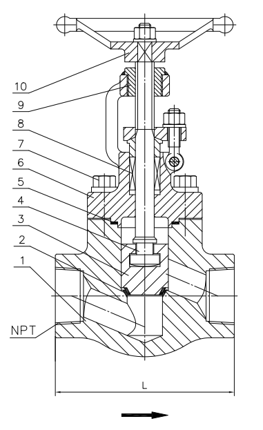 Class 800 Globe Valve Construction